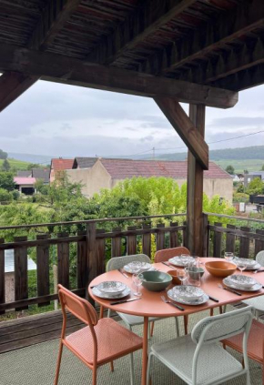 gites du bel Alsace cote vignoble